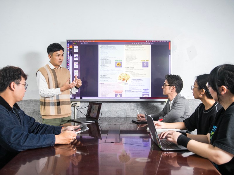 海大跨國合作　為錨形紋葉珊瑚解密