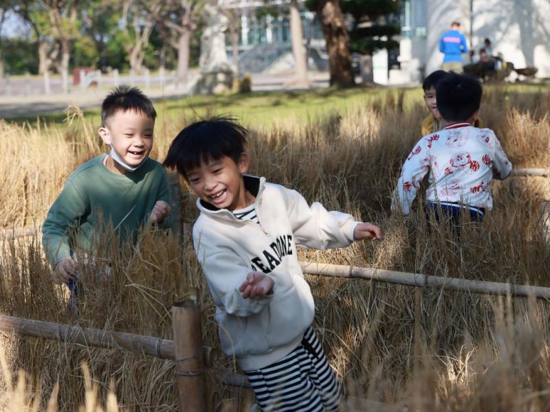 心漫活才快活　新春歡迎來同樂