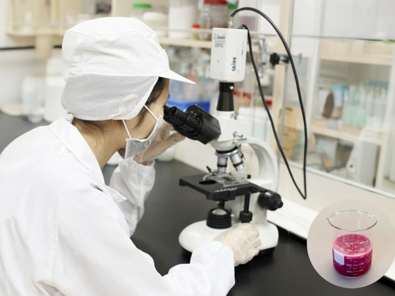 工研院加持　二林紅龍果更紅了