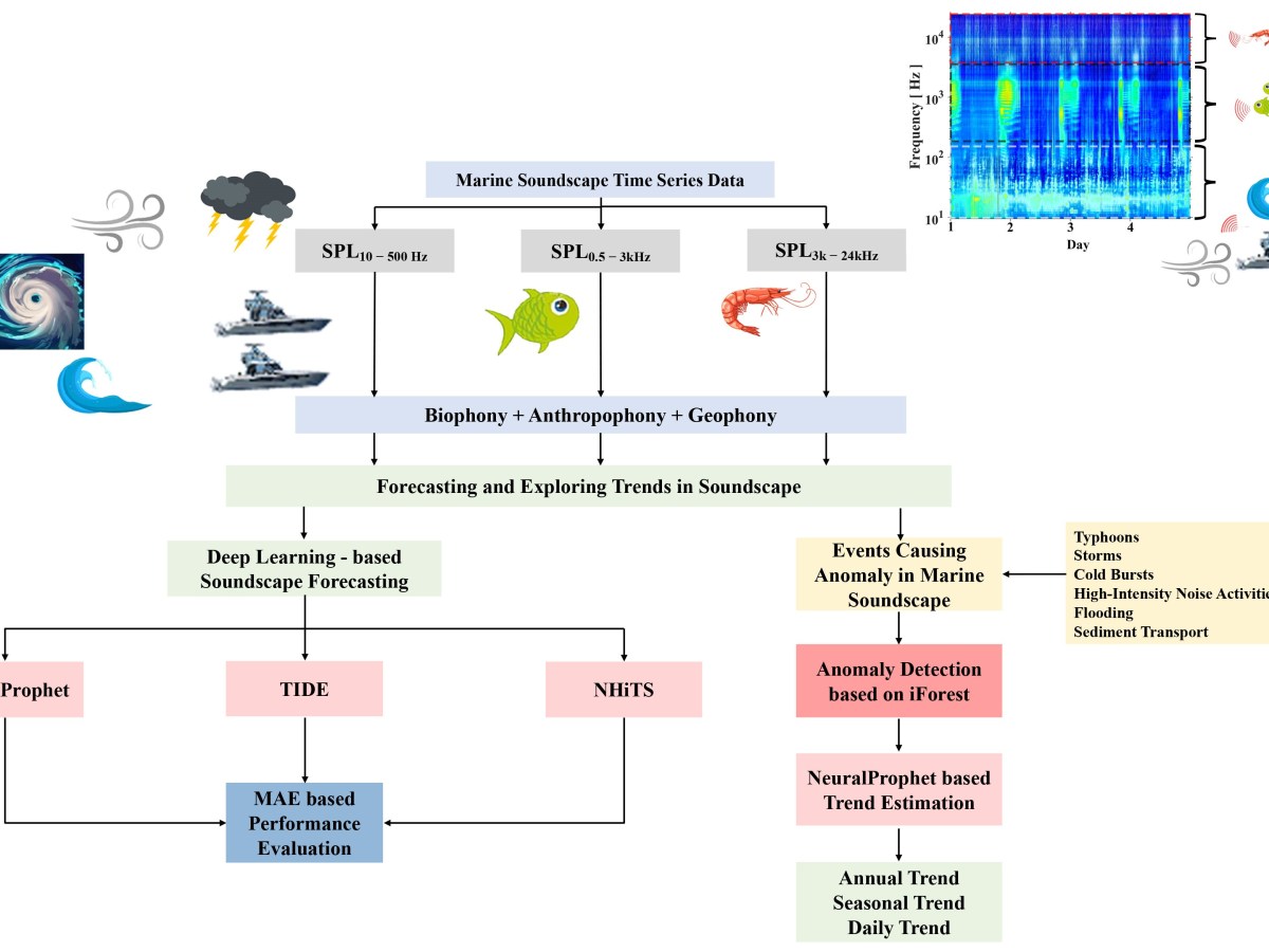 用AI聽測海洋　海大研究有成