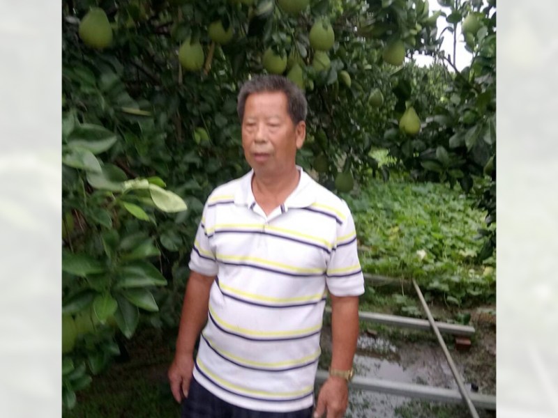 風災過後　文旦手工皂譜溫馨情