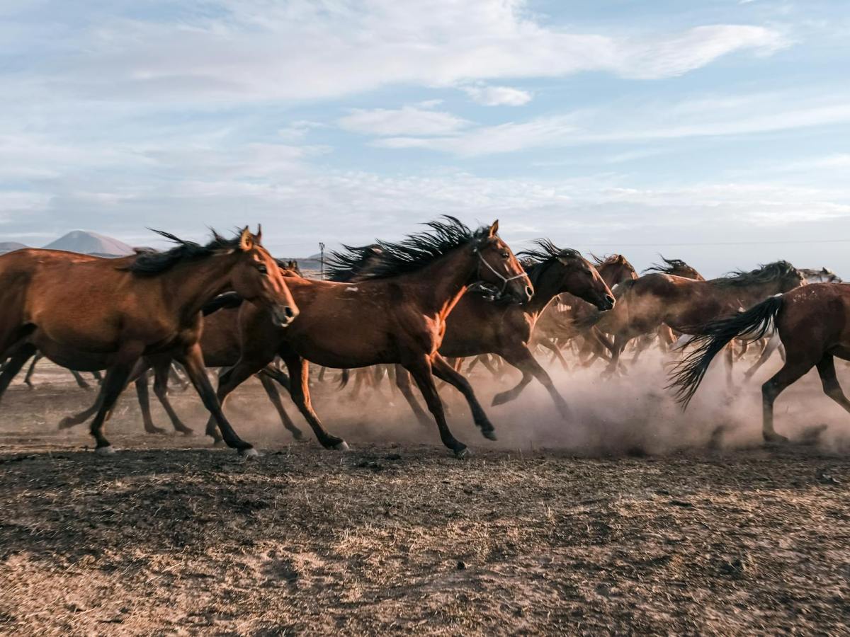 夢想變現俱樂部　什麼時候開張