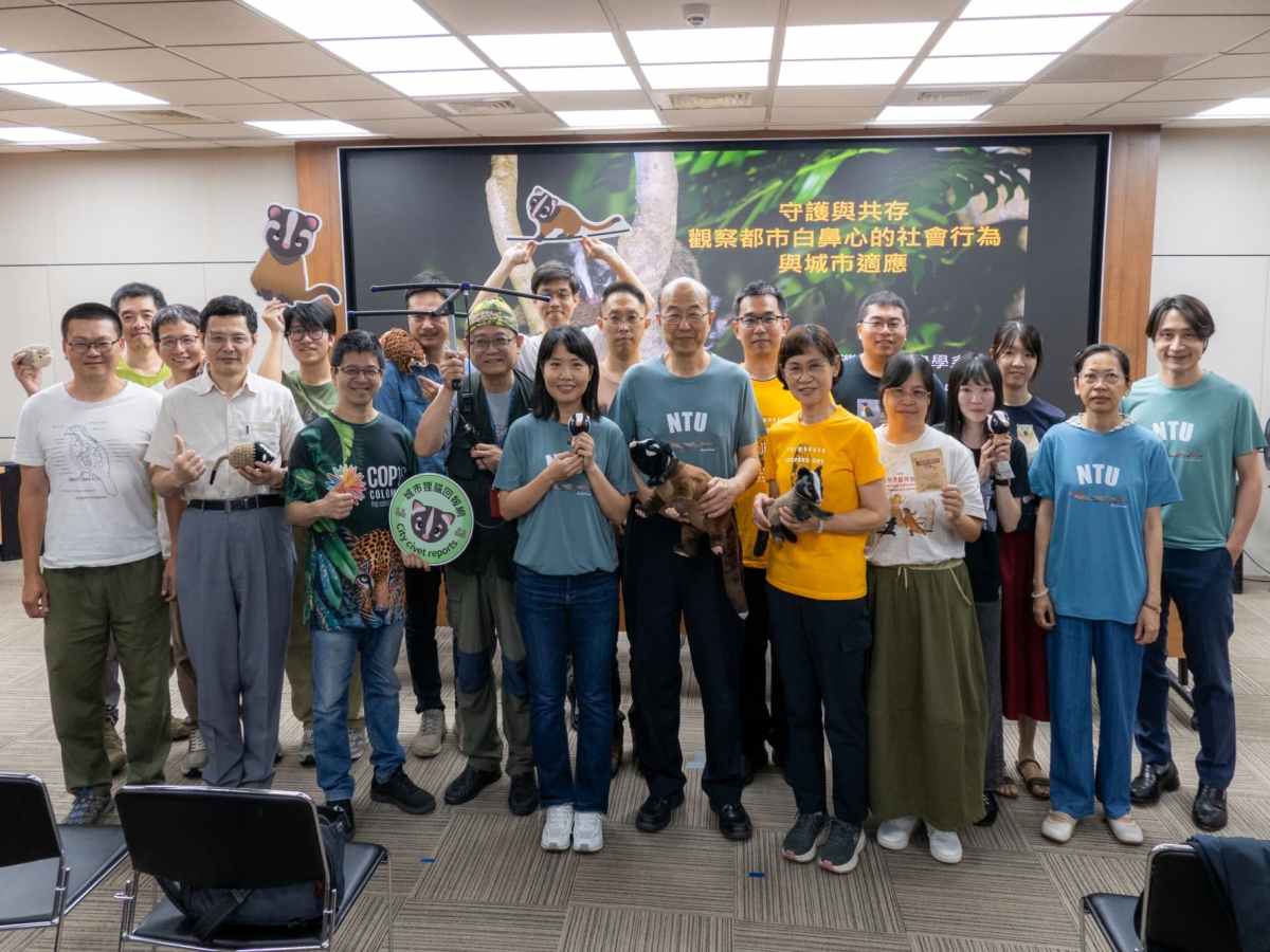 台大揭露　白鼻心是都市新住民