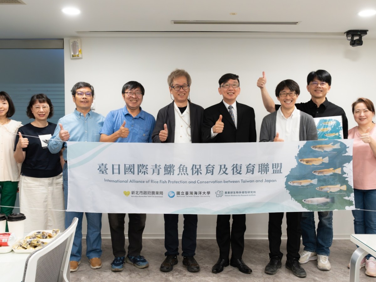 搶救噶瑪蘭青鱂　展開復育初步