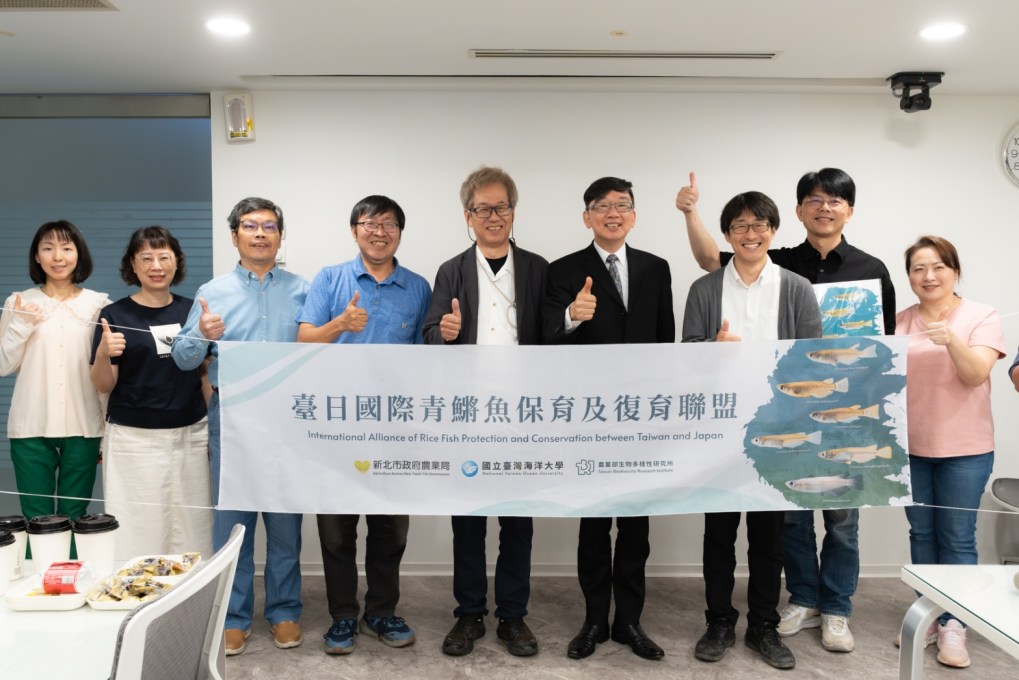 搶救噶瑪蘭青鱂　展開復育初步